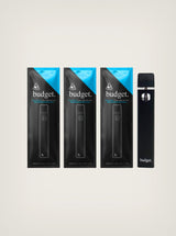 Vape de wax desechable Budget de HHC 1 gramo: Pluma de Wax