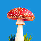 ¿Qué es la Amanita Muscaria? Historia