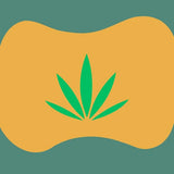 Compra productos de CBD con THC Delta 9 en Splift con Cannabis a Domicilio