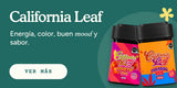 Halloweed Edition Compra California Leaf en Splift