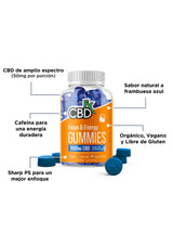 Gomitas de CBD Broad Spectrum para Enfoque y Energía marca CBDFx. Cannabidiol Mexico