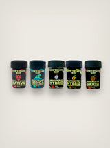 Gomitas de THC God's Beard Cult gomitas con delta 9 THC Nanotech 