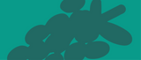 En Splift, encuentra productos de cannabis certificados y verificados por laboratorios.