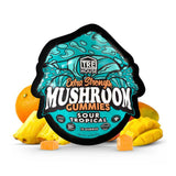 TRE House Magic Mushroom Gummies Sour Tropical Splift Mexico