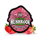 TRE House Magic Mushroom Gummies Strawberry Dream Splift Mexico